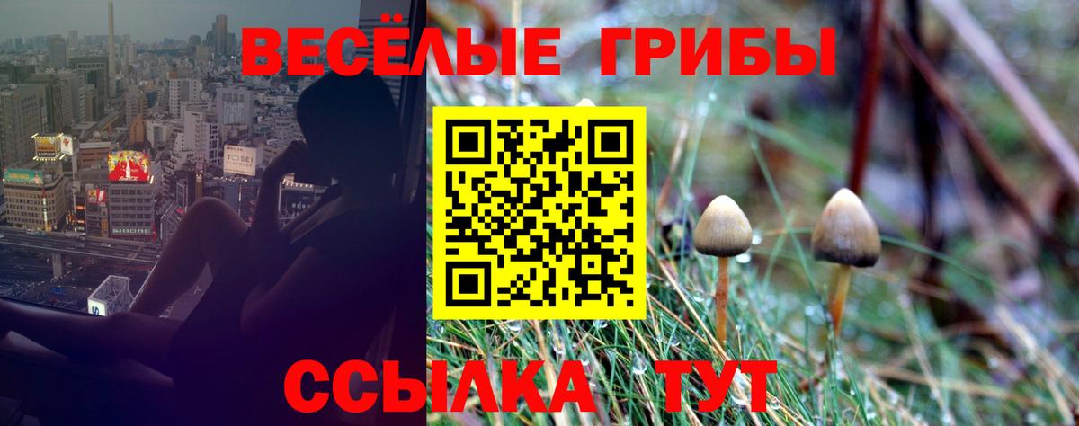 Псилоцибиновые грибы MAGIC MUSHROOMS  даркнет сайт  Рязань  Вход с VPN 
